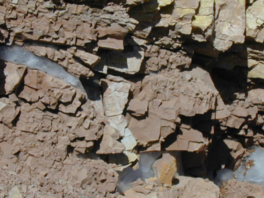 中圣科技(江蘇)集團股份有限公司