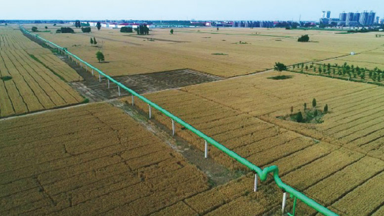 高陽縣城區居民采暖供熱工程