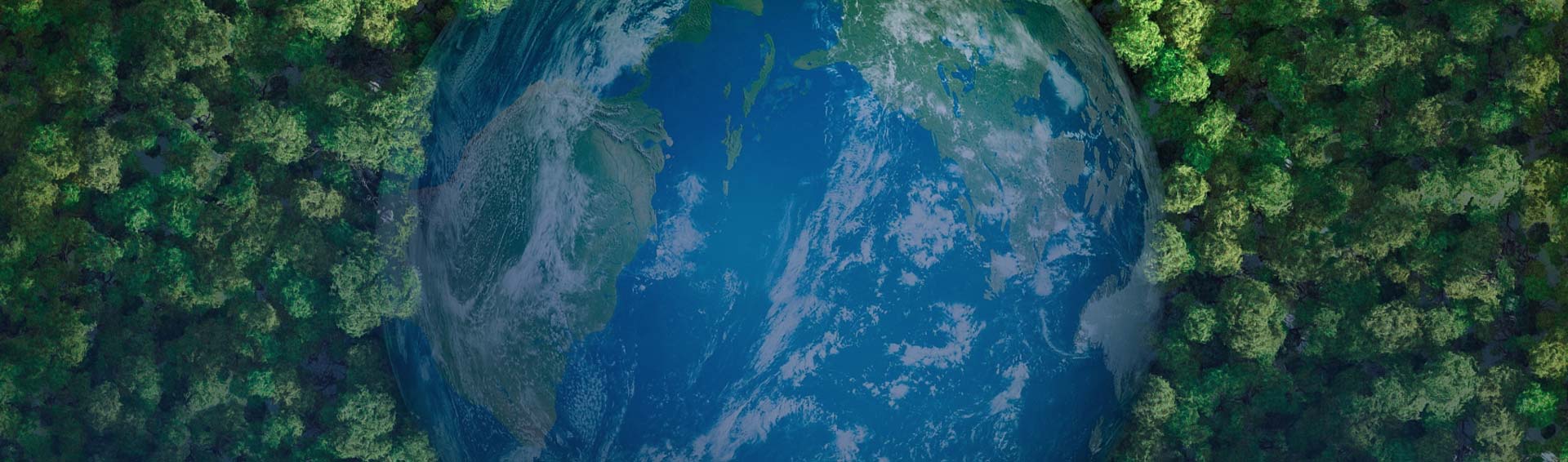 中圣科技(江蘇)集團股份有限公司